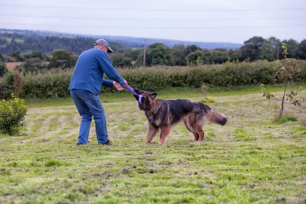 Çimde halat dışında köpeğiyle oynayan adam