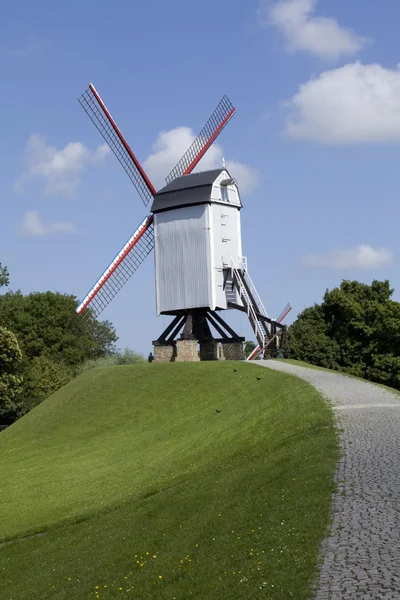 WLAN yel değirmeni dikey çekim