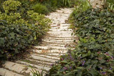 Bahçe yolu günlükleri