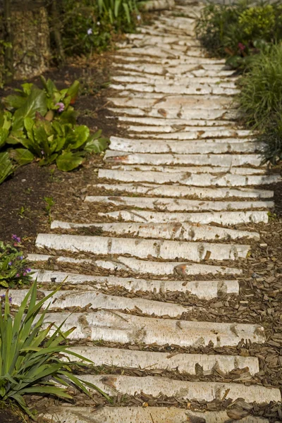 Bahçe yolu günlükleri