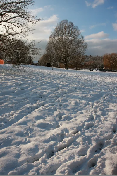 Vertikální shot Park Godalming Surrey ve sněhu — Stock fotografie