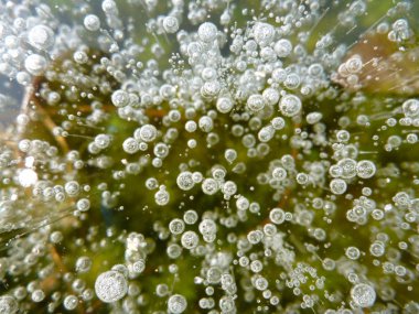 Kabarcıklar donmuş soyut