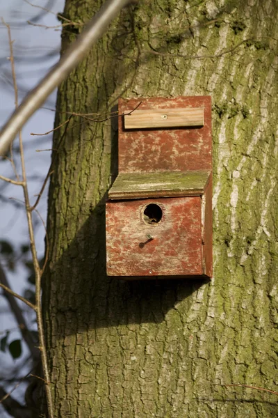 Vertical shot of a birdbox in a tree — Stock Photo, Image