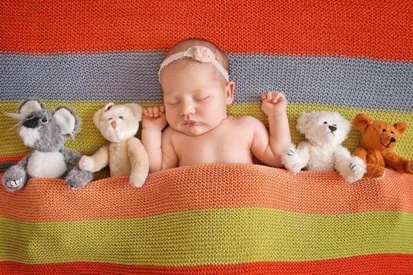 Menina recém-nascida 11 dias, dorme. Menina recém-nascida bonita wihh — Fotografia de Stock