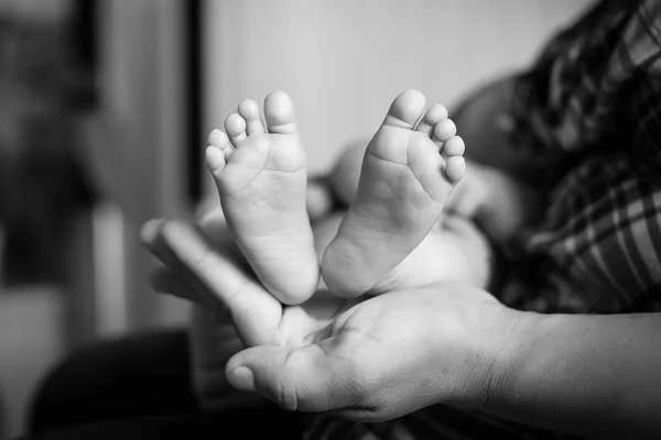De voeten van de baby in handen van de moeder. Zwart-wit foto. Baby's voeten in — Stockfoto