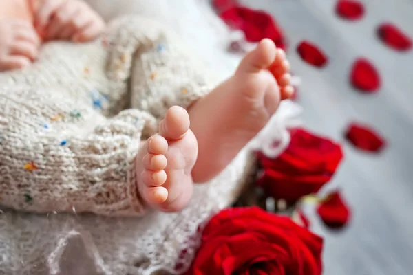 Close-up foto van de pasgeboren baby voeten in gebreide plaid — Stockfoto