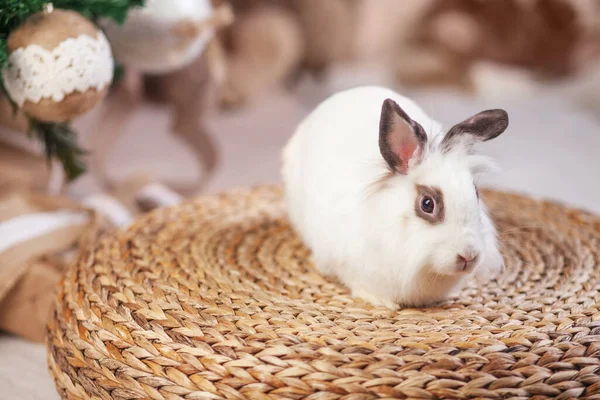 Mignon Lapin Blanc Lapin Sur Fond Sapin Décoré Fête Joyeuses — Photo