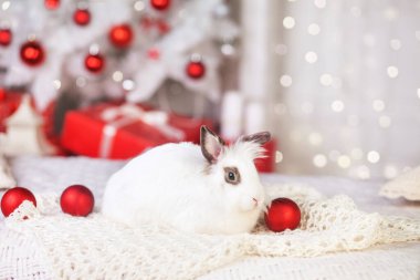 Şirin beyaz tavşan, arka planda süslü bir köknar ağacına karşı tavşan. İyi kış tatilleri.