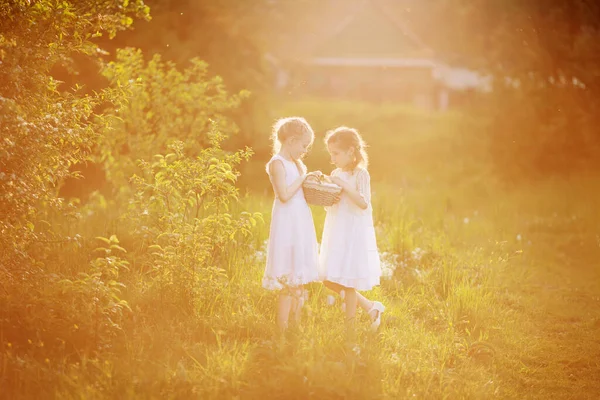 Twee Kleine Meisjes Bij Zonsondergang Met Mooie Eendjes — Stockfoto