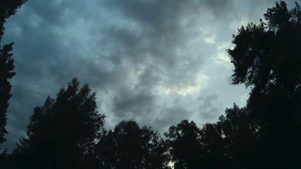 Molnen flyta över himlen. Skog och himlen med moln — Stockvideo