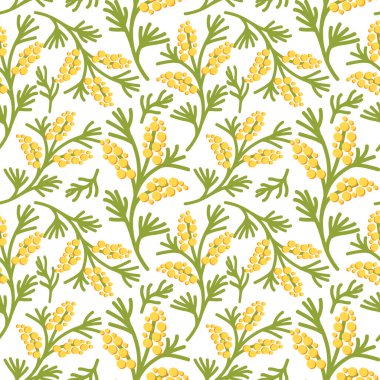Beyaz arka planda sarı çiçekli ve mimoza yapraklı kusursuz desen. Bahar tatili tasarımı için vektör illüstrasyonu, Anneler Günü veya Uluslararası Kadınlar Günü