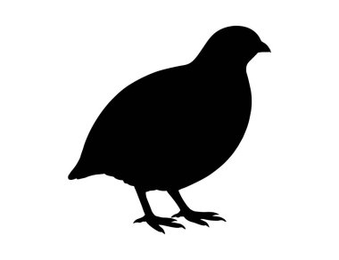 Bıldırcın Silueti Vektörü - 124; Oyun Kuşu Clipart - 124; Vahşi Yaşam Simgesi