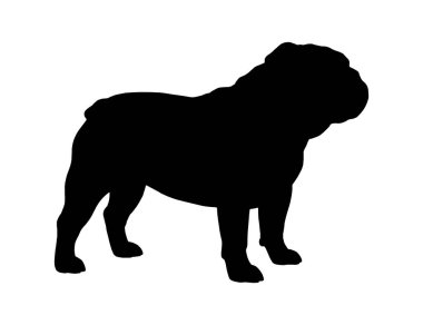 İngiliz Bulldog Siluet Vektörü (124; Köpek Çiftliği Clipart (124; Evcil Hayvan Simgesi)