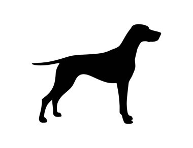 Almanca Shorthaired Pointer Dog Silhouette Vector the 124; Hunting Breed Clipart the 124; Pet Icon