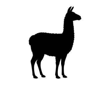 Çiftlik ve Vahşi Yaşam Tasarımı için Llama Siluet Vektör Simgesi