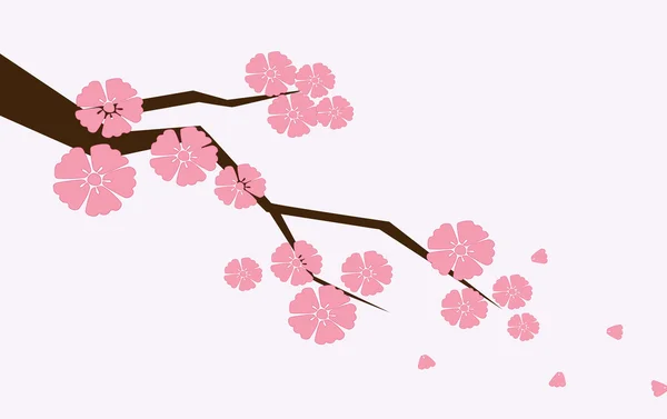 Rama de sakura con flores. Rama de flor de cerezo con pétalos cayendo . — Vector de stock