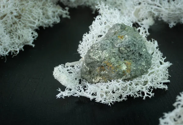 Арсенопірит з Китаю або Індонезії. Природний мінеральний камінь на чорному тлі оточений мохом. Мінералогія, геологія, магія, напів-дорогоцінні камені і зразки мінералів. Фото на макрофоні. — стокове фото