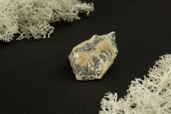 Дендритові марганові оксиди з Марокко. Природний мінеральний камінь на чорному тлі оточений мохом. Мінералогія, геологія, магія, напів-дорогоцінні камені і зразки мінералів. Фото на макрофоні. — стокове фото