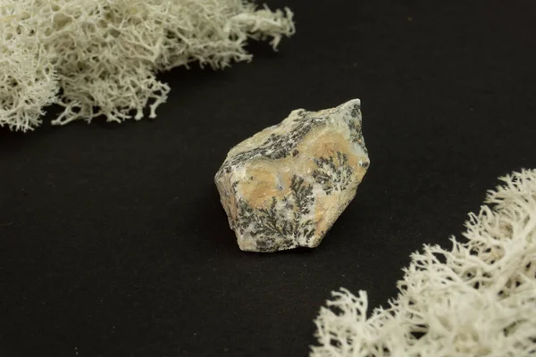 Fas 'tan Dendrite manganez oksit. Siyah arka planda, yosunlarla çevrili doğal bir mineral taşı. Mineraloji, jeoloji, sihir, yarı değerli taşlar ve mineral örnekleri. Yakın çekim makro fotoğraf