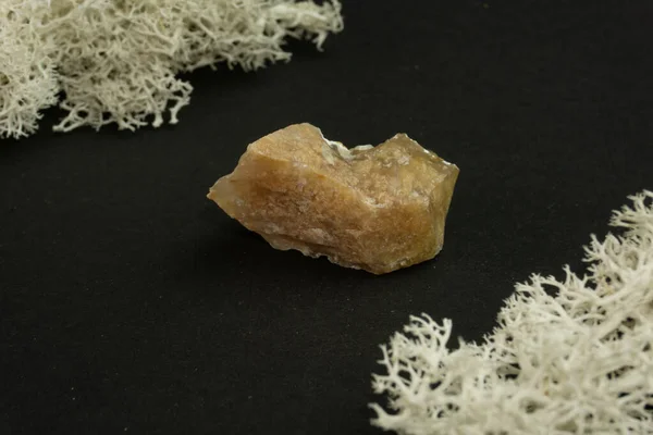 Халкідонія з Мадагаскару. Природний мінеральний камінь на чорному тлі оточений мохом. Мінералогія, геологія, магія, напів-дорогоцінні камені і зразки мінералів. Фото на макрофоні. — стокове фото