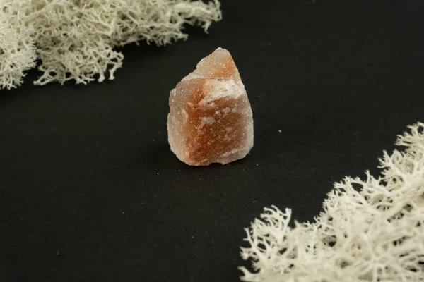 Галіт або кам'яна сіль з Пакистану. Природний мінеральний камінь на чорному тлі оточений мохом. Мінералогія, геологія, магія, напів-дорогоцінні камені і зразки мінералів. Фото на макрофоні. — стокове фото