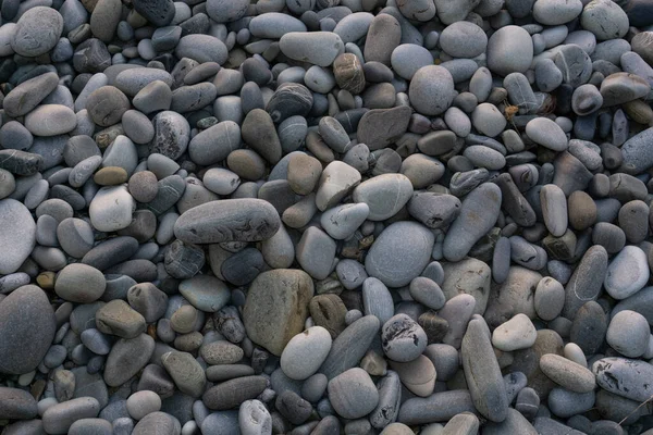 Havsstenar bakgrund med små stenar eller sten i trädgården eller i havet eller på en strand. En närbild av rundade släta polerade stenar — Stockfoto