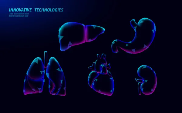 Human organ icon symbol medicine logo set. Lungs heart kidney liver stomach internal organ. Pharmacy banner doctor online vector illustration — Stock Vector