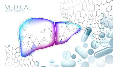 Üç boyutlu karaciğer tedavisi. Hepatit, insan sağlığı siroz teşhisini uyarıyor. Tıbbi terapi sindirim enfeksiyonu virüsü ilaç konseptini korur. Düşük poli vektör çizimi