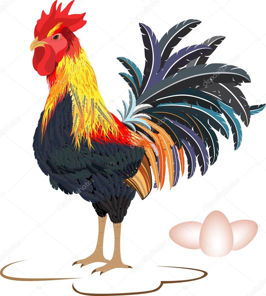 Rooster with egg, symbol 2017 new year by eastern calendar. Cartoon cheerful rooster. Isolated. Vector Illustration.