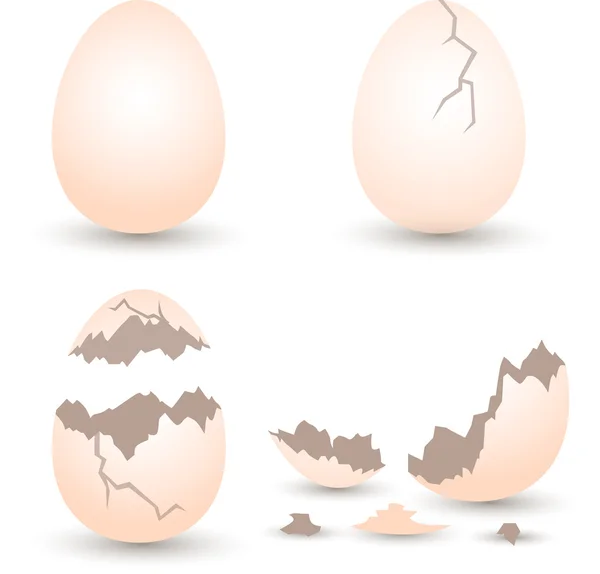 Αυγό σπασμένο σετ με εφέ κρακ σε λευκό φόντο. απεικόνιση διανυσματικού διάνυσμα αυγών και αβγών — Διανυσματικό Αρχείο