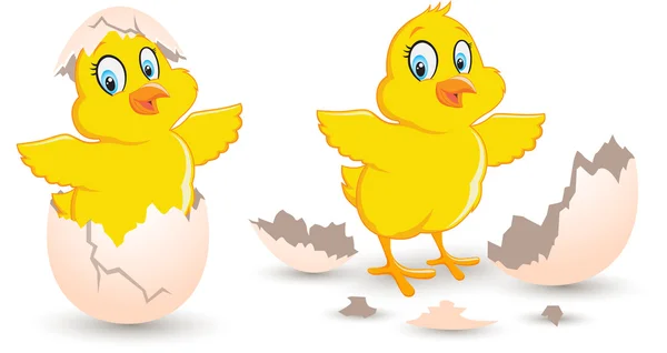 Chick komt uit gebroken ei. Baby schattig Chick uitgekomen pasgeboren in de gebroken eierschaal vector illustratie op witte achtergrond — Stockvector