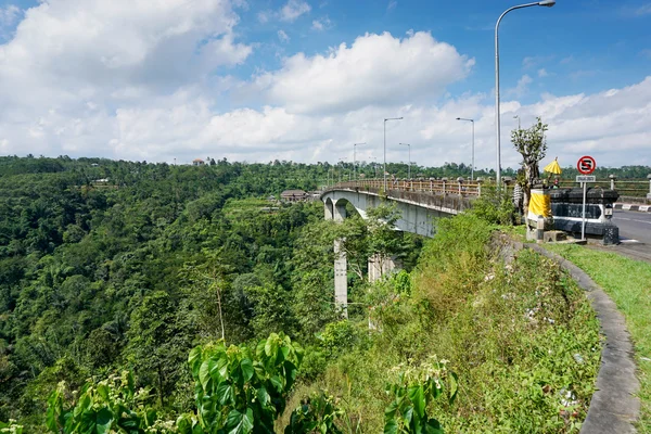 Maneira da ponte na ilha de bali, indonésia, sobre o rio e a floresta — Fotografia de Stock