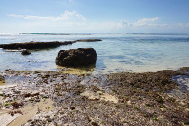 Yosun Melasti plaj bali, Endonezya. Melasti Bali gizli plaj. Tanah Lot plajı yakınında