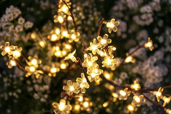 Luzes Led Douradas Brilhantes Decoração Flor Lâmpada Cena Noturna Ambiente — Fotografia de Stock