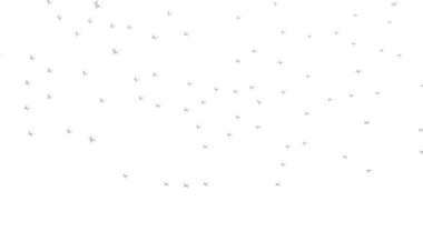 Işıldayan Gümüş Yıldızlar Beyaz Üzerine Özgeçmiş Işıklı