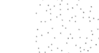 Kutlama ve Şenlik İçin Beyaz Arkaplanda Gümüş Yıldızlar Konfeti