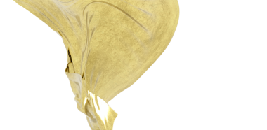 Lüks Tasarımlar İçin Soyut Altın Kumaş Akışı Beyaz Arkaplanda