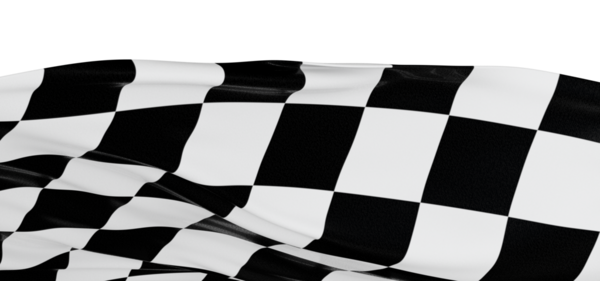 Damalı Bayrak Yarış Bitirici veya Kazanan Kutlama Hareketi