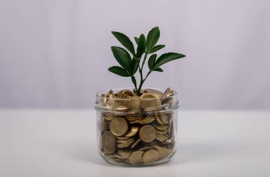 Finansal büyüme kavramı: Kavanozdaki madeni paralardan büyüyen bitki