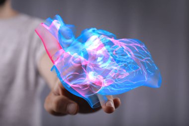 Dijital İnsan Eli Tutuşu 3B Kalp Modeli