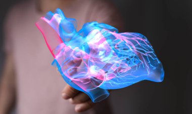 İnsan Kalbi 3D Model Hologram Anatomisi
