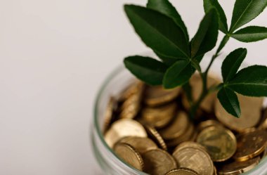 Para Fabrikası Cam Kavanozdaki Paralardan Büyüyor