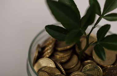 Para Büyümesi: Madeni Para Kavanozundan Bitki Yeşermesi Yatırım Başarısını Sunar