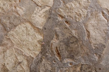 Pürüzlü Taş Doku Arkaplan Resmi