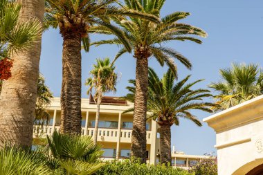 Lush Palm Trees ile Akdeniz Oteli