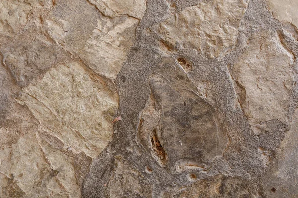 Pürüzlü Taş Doku Arkaplan Resmi