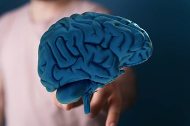 İnsan Beyni: Nörolojik Araştırma ve Bilişsel Fonksiyon