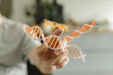 Uzanan El Hareketi, Kapan