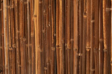 Dark Brown Bamboo Poles Wall Texture