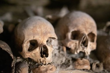 İki insan kafatası karanlık bir boşlukta kemiklerin arasında oturur.